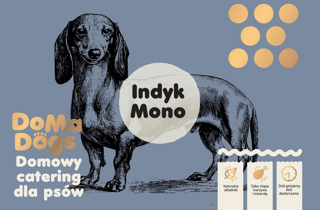 Indyk Mono