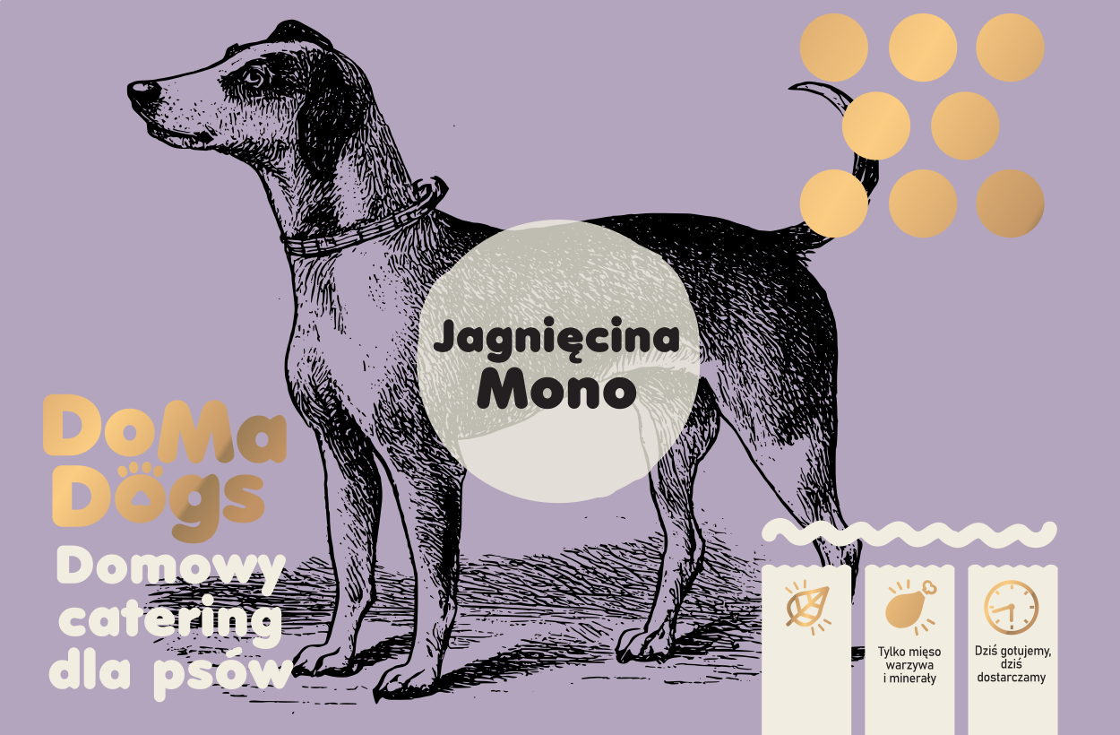 Jagniecina Mono