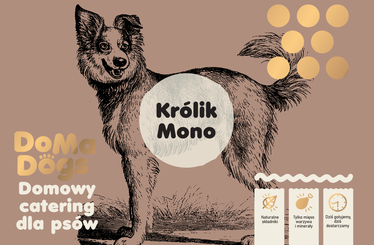 Królik Mono
